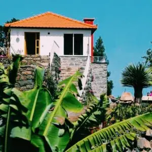 Add on (June 1st - 4th)